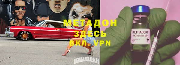 стаф Алексин