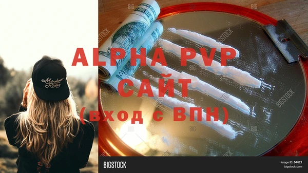 стаф Алексин