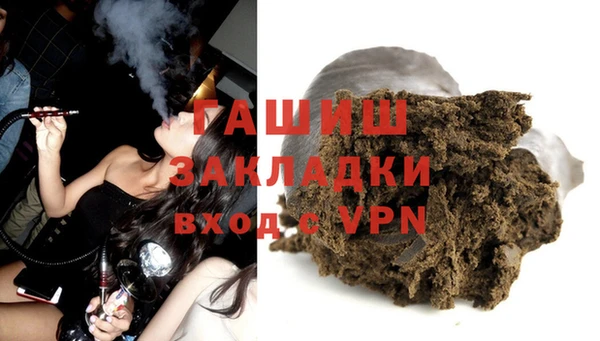 стаф Алексин