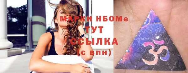 стаф Алексин