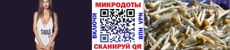 даркнет сайт  Чернушка  это Telegram  Псилоцибиновые грибы ЛСД 