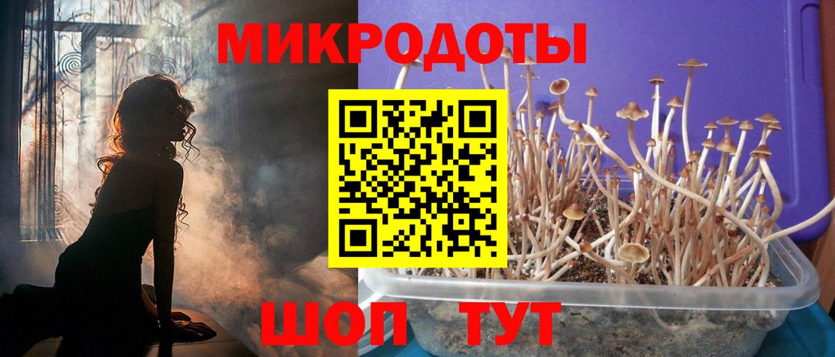Галлюциногенные грибы Cubensis Чернушка