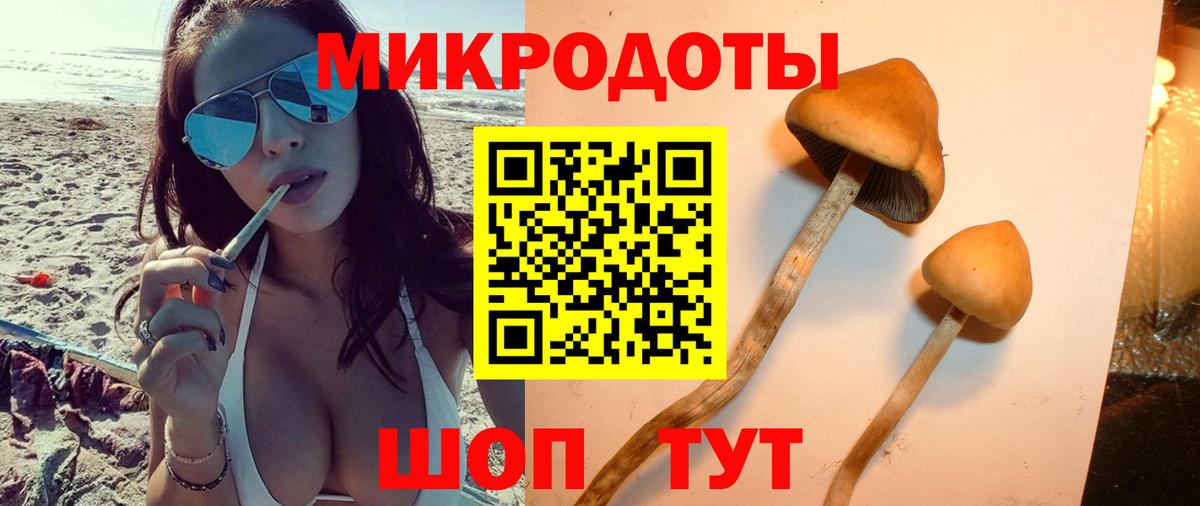 Псилоцибиновые грибы Cubensis  Вход с VPN  Галлюциногенные грибы ЛСД  Чернушка 