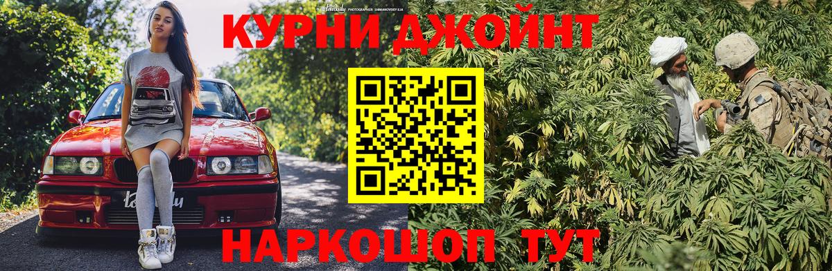 Конопля Чернушка